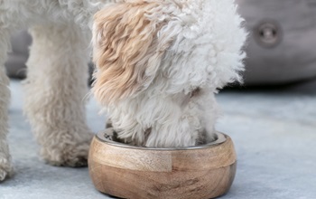 Vitarex til hund og kat - Fås kun i Plantorama