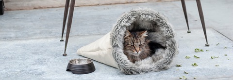 Vitarex til hund og kat - Fås kun i Plantorama