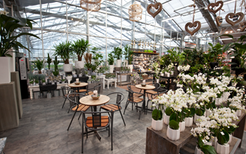 Få gratis kaffe i Plantoramas centre