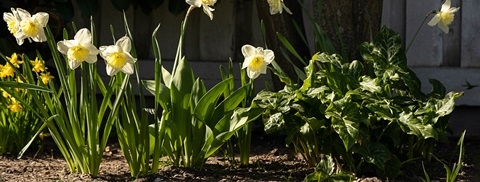 Aprilhave