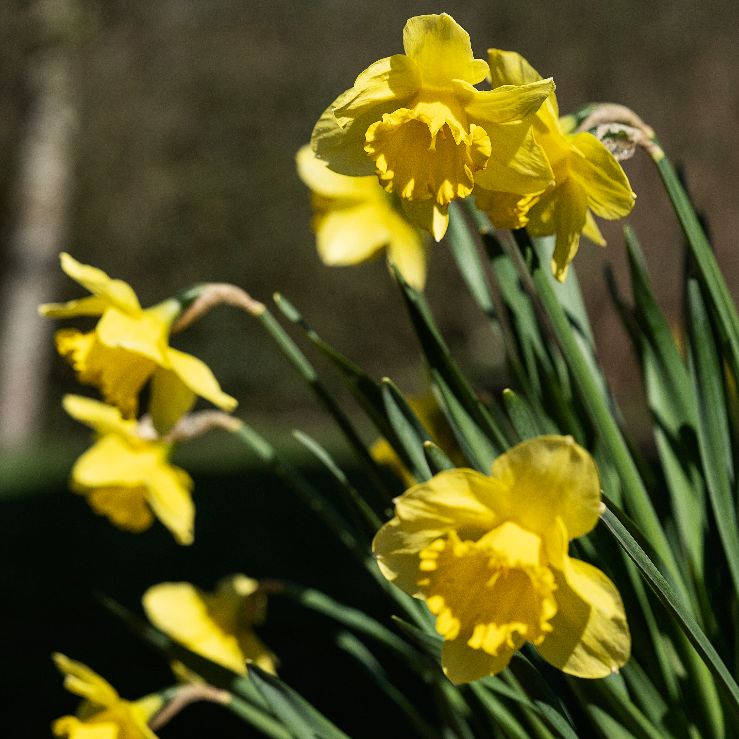 Aprilhave