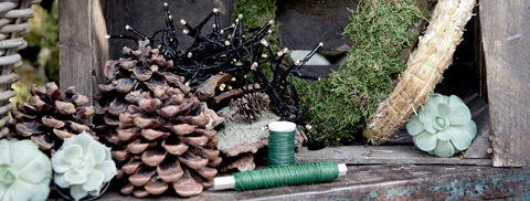Decemberhave