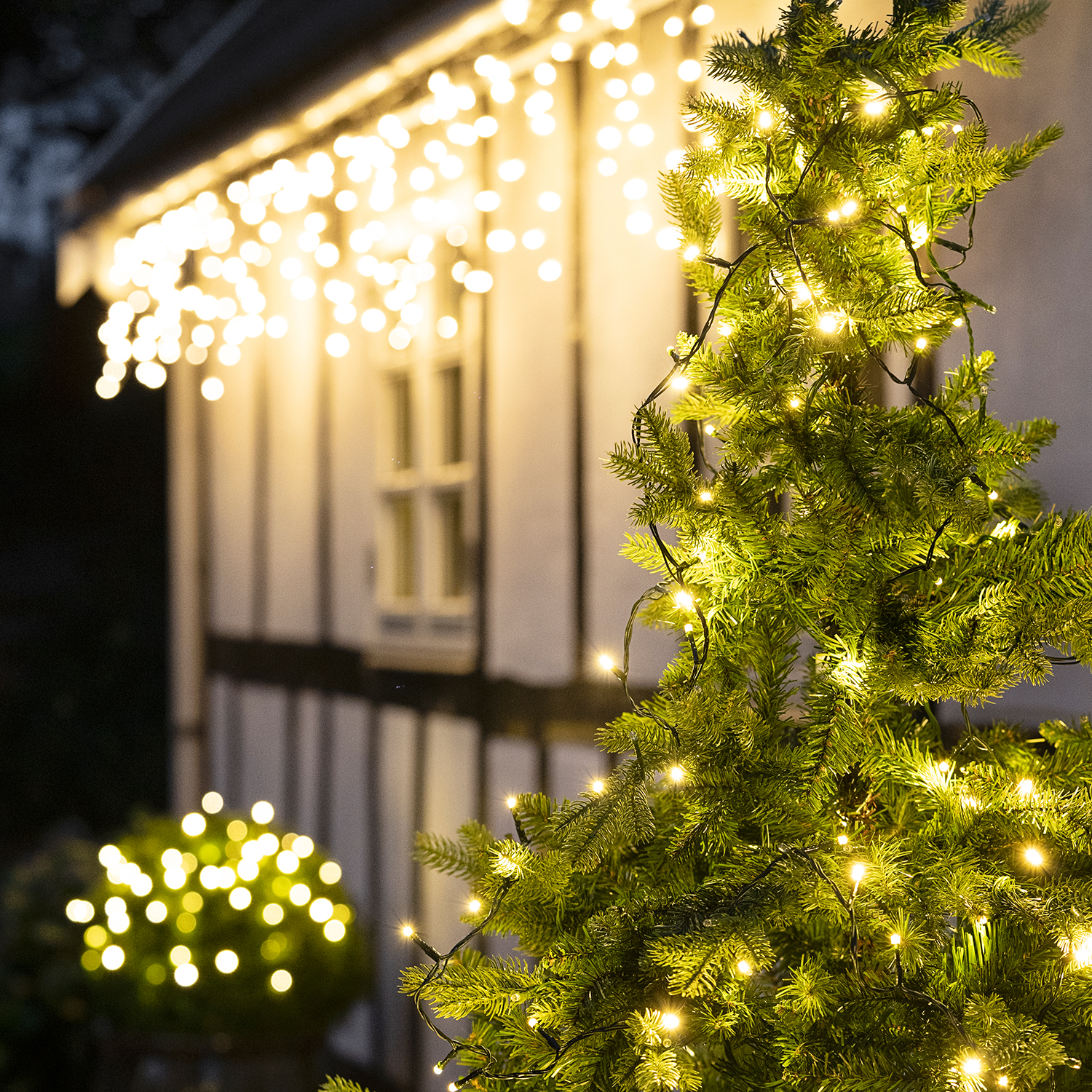 Decemberhave
