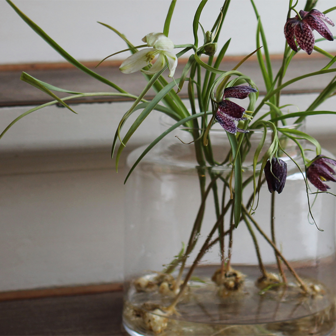 pottede-blomsterloeg-2