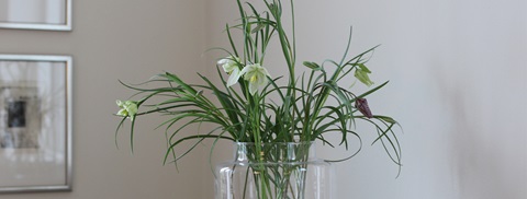 Vase med blomster i grønne og hvide farver