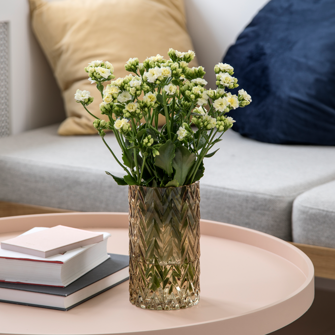 Læs om Queen blomster hos Plantorama