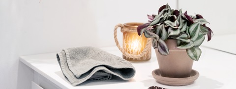 Planter på badeværelse