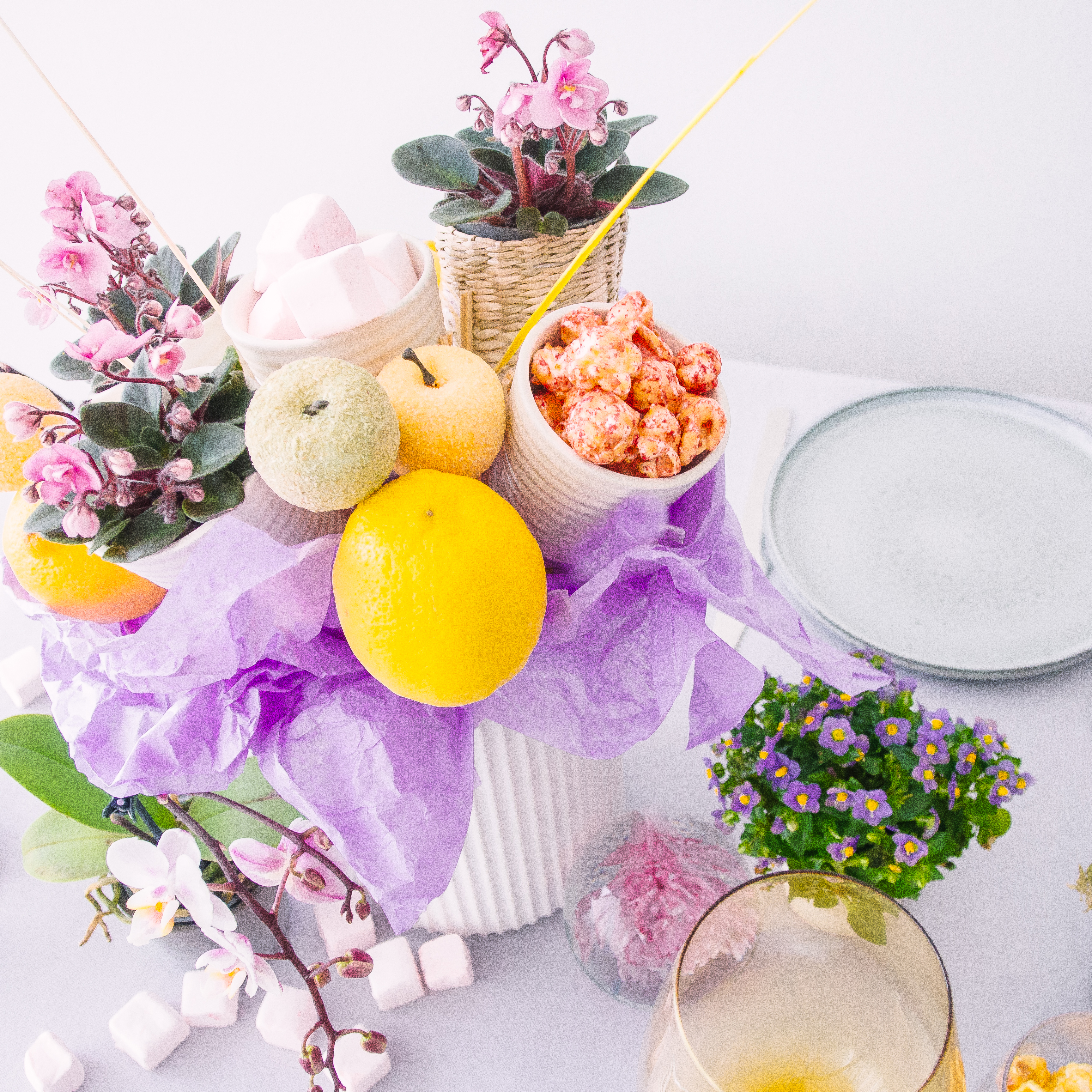 Festlig borddækning med blomstrende miniplanter - Plantorama