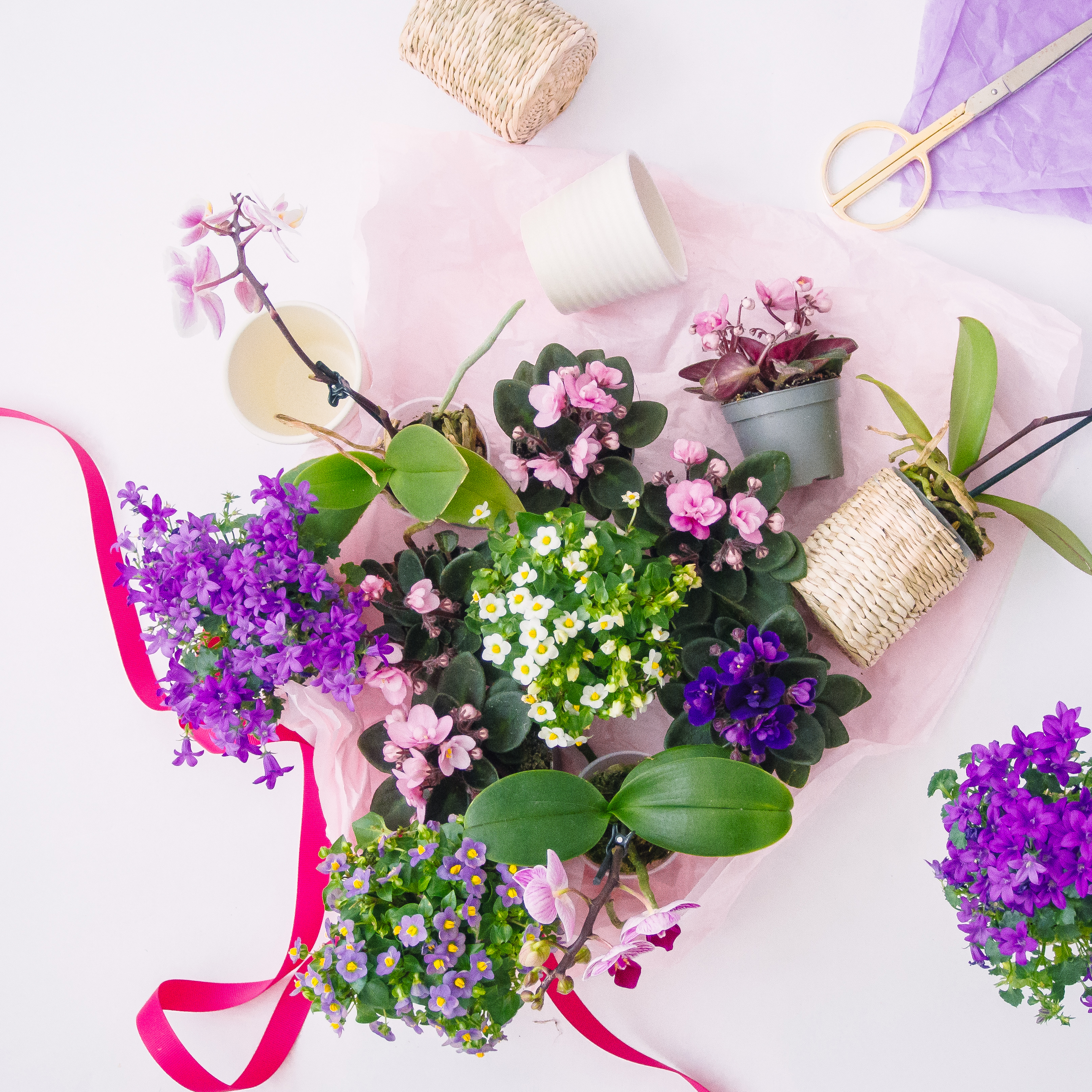 Festlig borddækning med blomstrende miniplanter - Plantorama