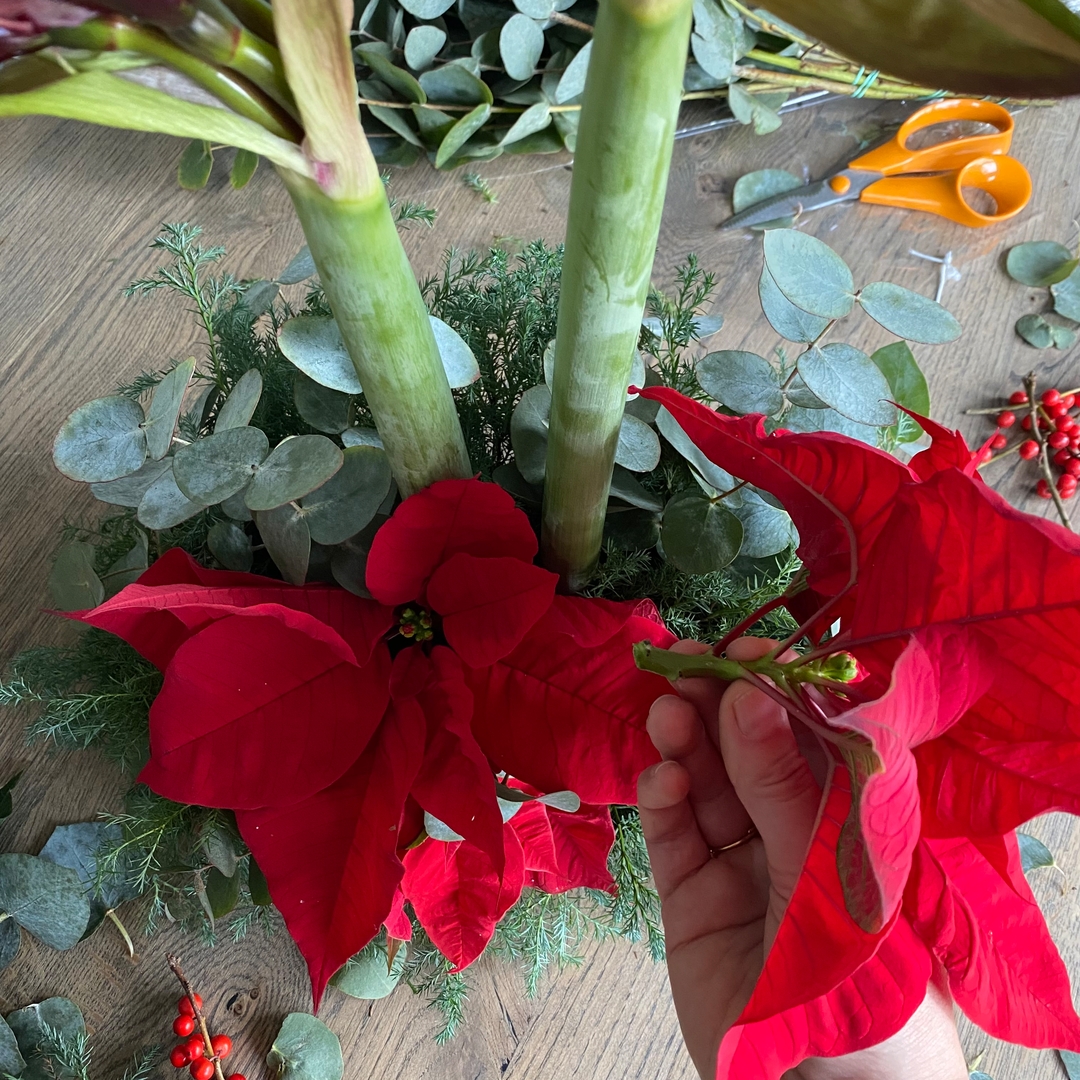 Julebord anno 2022 Plantorama