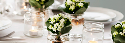Få inspiration til nytårspynt med Queen blomster hos Plantorama