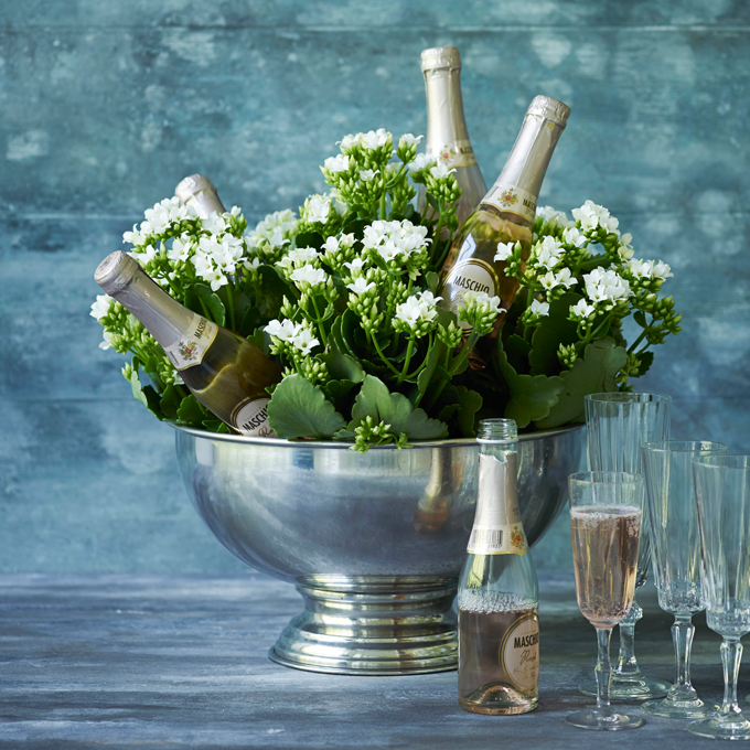 Få inspiration til nytårspynt med Queen blomster hos Plantorama