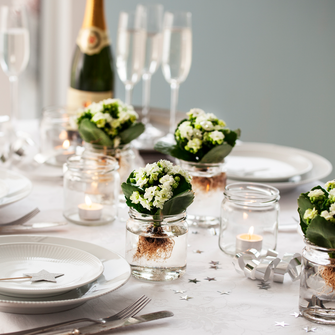 Få inspiration til nytårspynt med Queen blomster hos Plantorama