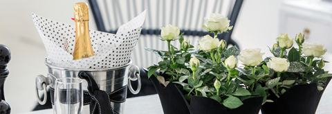Få inspiration til roser på nytårsbordet hos Plantorama