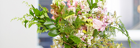 5 blomster til dig med høfeber - Plantorama