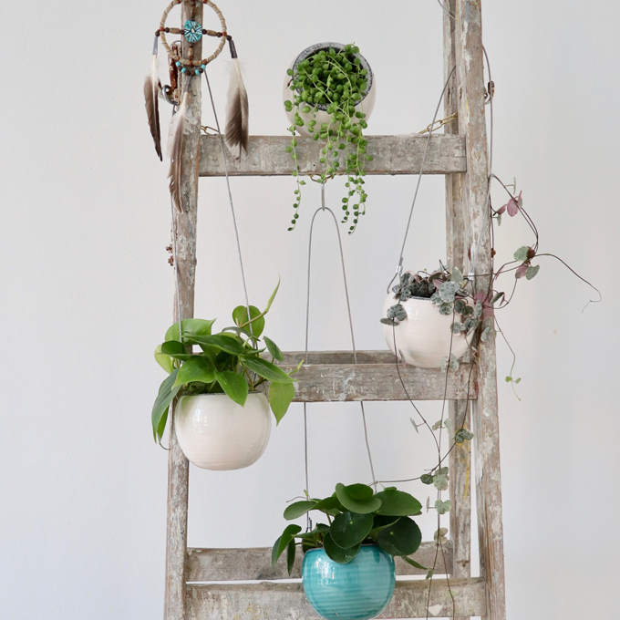 Plantorama | Sådan indretter du med hængeplanter
