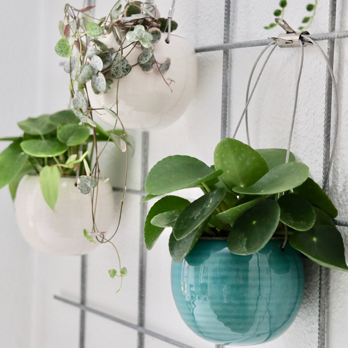 Plantorama | Sådan indretter du med hængeplanter