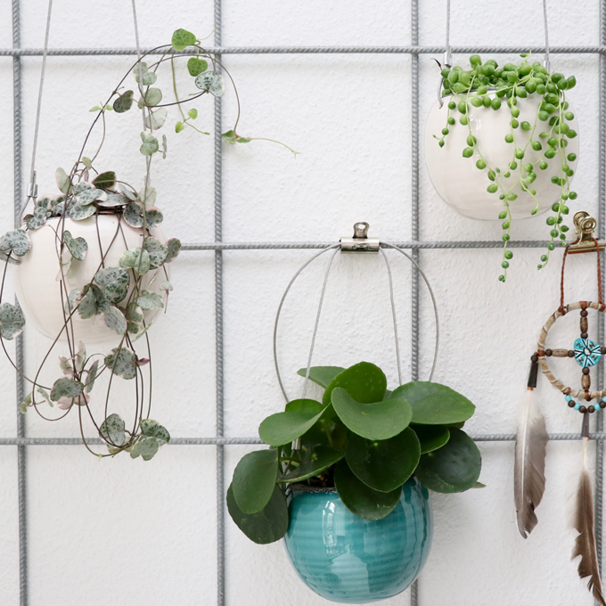 Plantorama | Sådan indretter du med hængeplanter