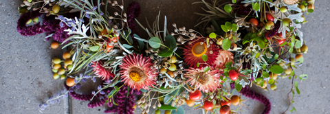 DIY: Sådan laver du en evighedskrans til efteråret - Plantorama
