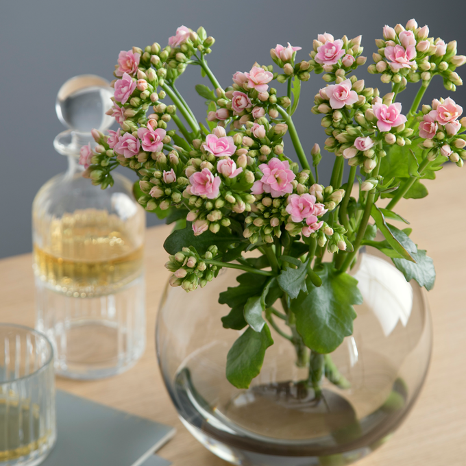 Få inspiration til forårsdekorationer med blosmter hos Plantorama