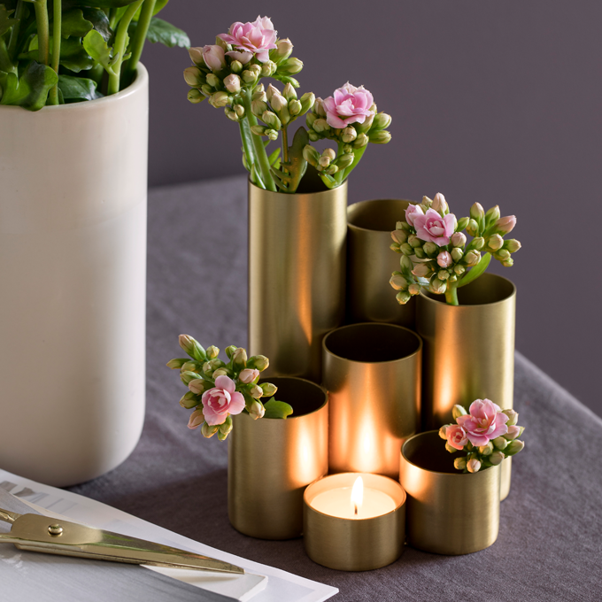 Få inspiration til Queen blomster hos Plantorama