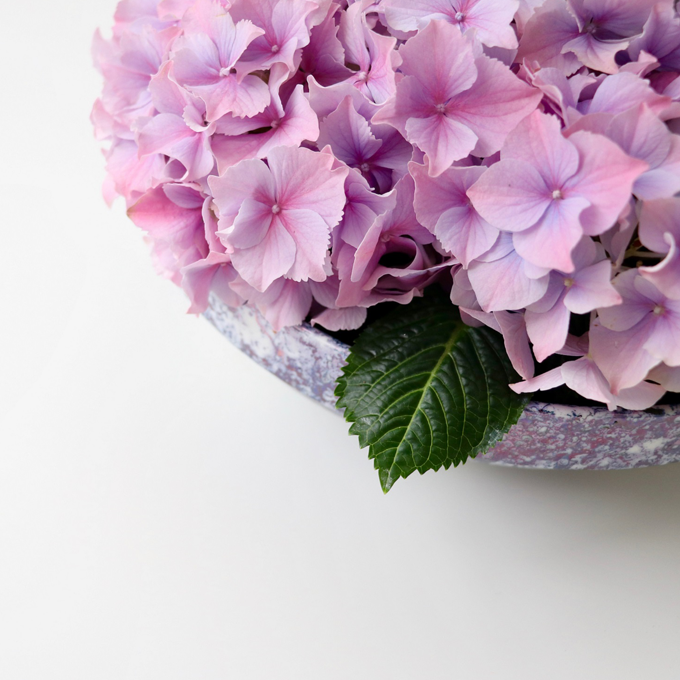 Plantorama | Sådan laver du borddekorationer med hortensia