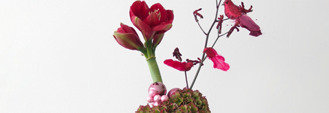 DIY: Eventyrlig dekoration til julens fester - Plantorama