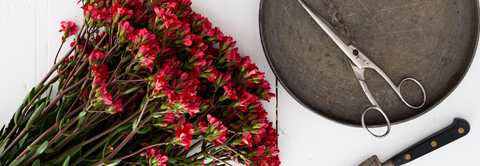 DIY: Kalenderlys-dekoration med friske blomster - Plantorama