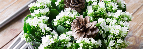 Få inspiration til adventskranse med Queen blomster hos Plantorama