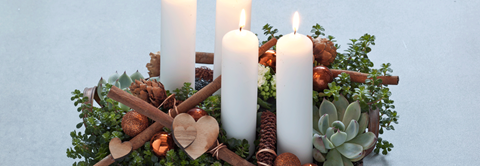 Få inspiration til levende juledekorationer hos Plantorama