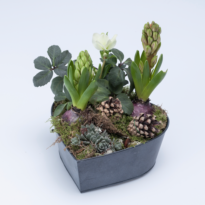 Få inspiration til levende juledekorationer hos Plantorama