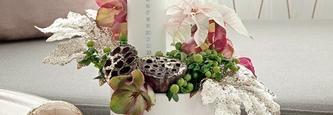 DIY: Magisk dekoration med juleroser - Plantorama