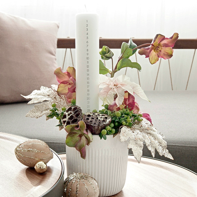 DIY: Magisk dekoration med juleroser - Plantorama