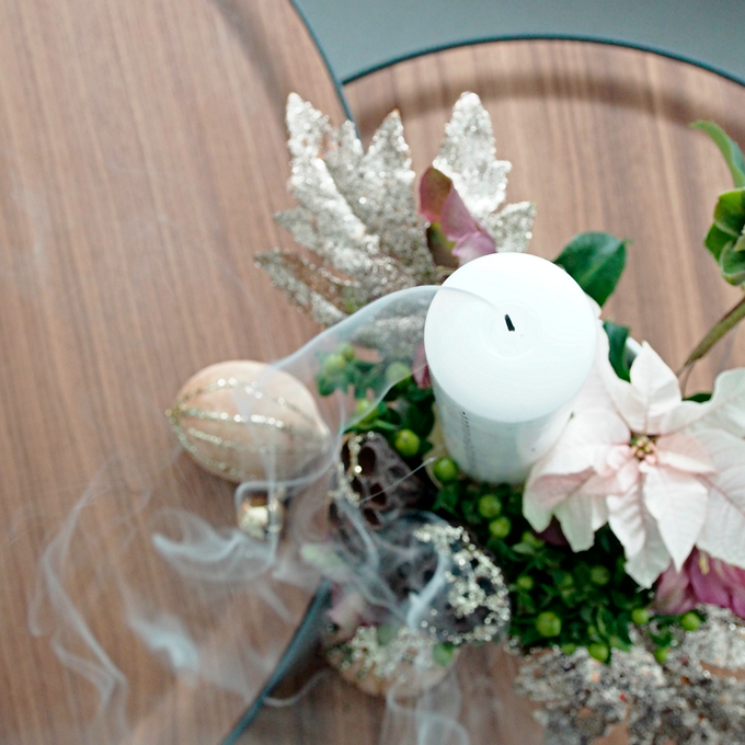 DIY: Magisk dekoration med juleroser - Plantorama