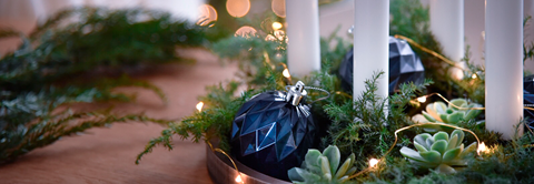 DIY: Moderne adventskrans med grønne planter - Plantorama