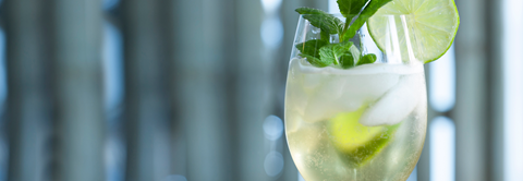 Opskrift: Hugo sommerdrink med hyldeblomst og mynte - Plantorama