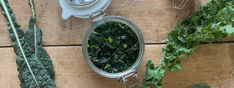 Fermenteret kål