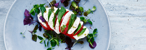 Opskrift: Klassisk og italiensk tomatsalat - Plantorama