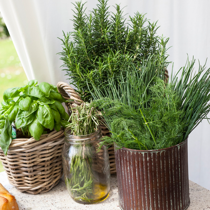 Plantorama | Mørbrad på grill med Lars Kyllesbech