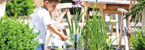 Plantorama | Skab en smuk vandhave i kar og krukker