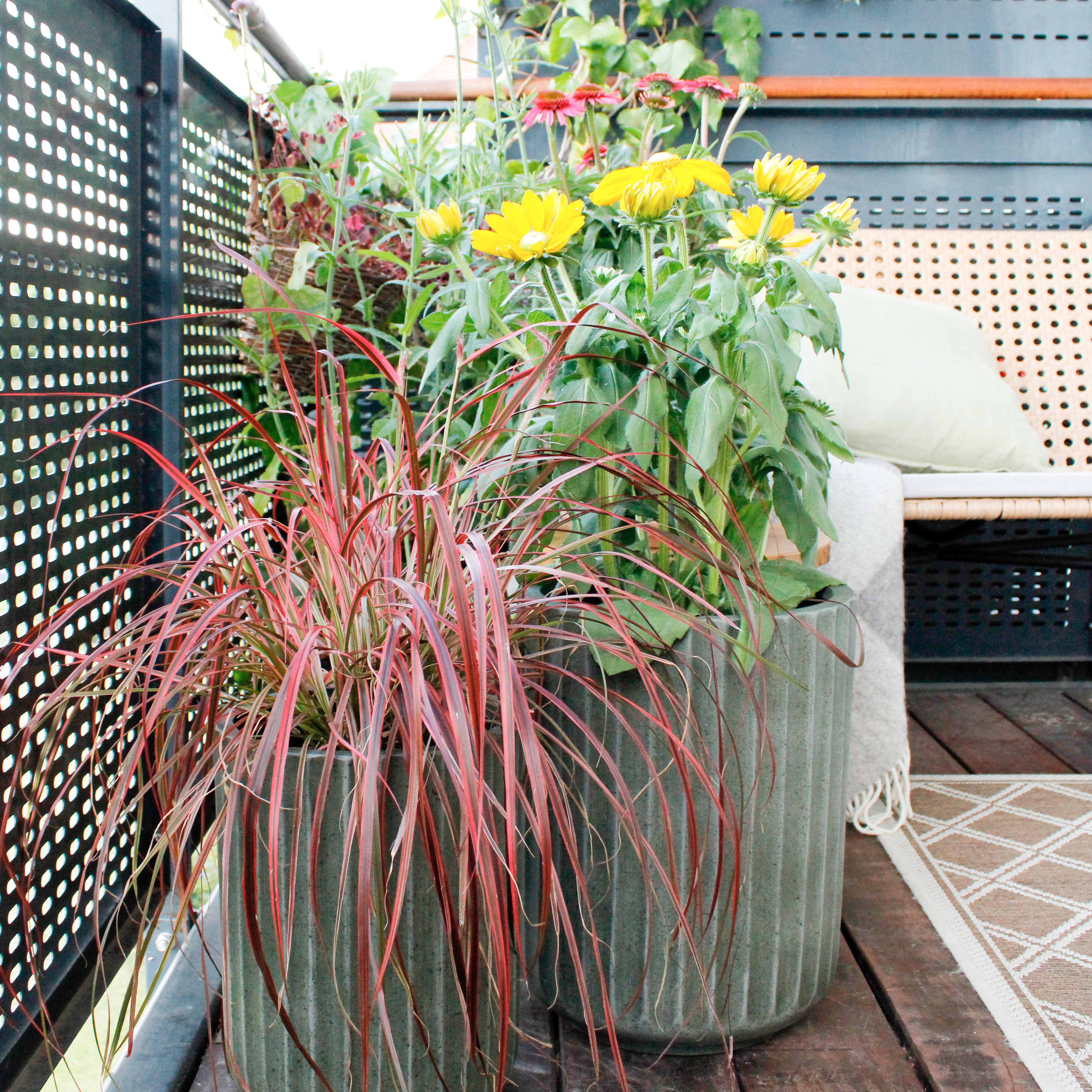 Altan med planter