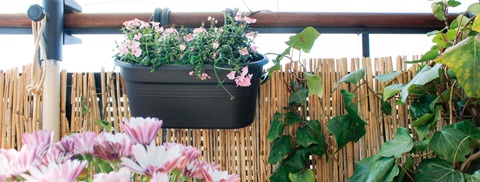Få en sommerklar altan - Plantorama