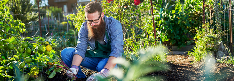 Hvad er urban gardening? Find svar på plantorama.dk