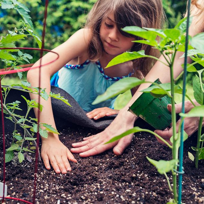 Hvad er urban gardening? Find svar på plantorama.dk