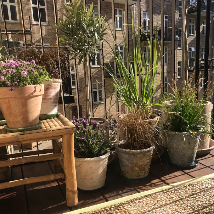 Indret altanen med grønne planter og brændte farver - Plantorama