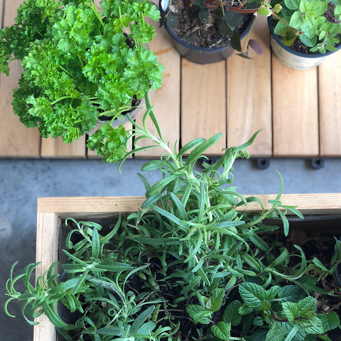 Sådan gør du altanen klar til sommer - Plantorama