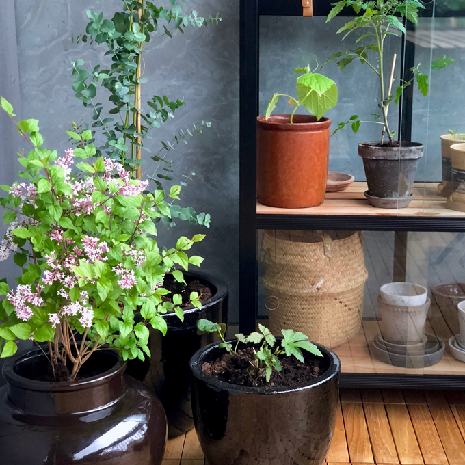 Sådan gør du altanen klar til sommer - Plantorama