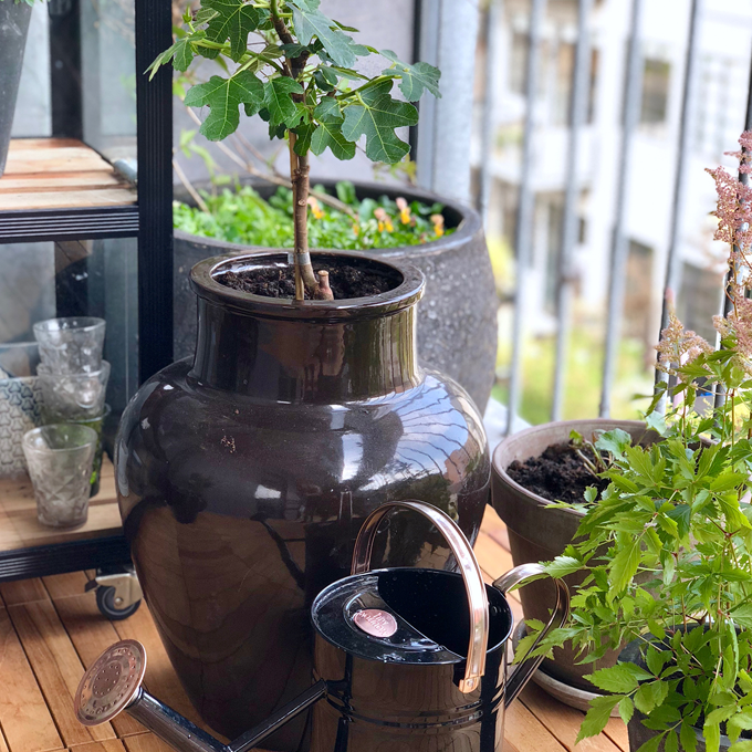 Sådan gør du altanen klar til sommer - Plantorama