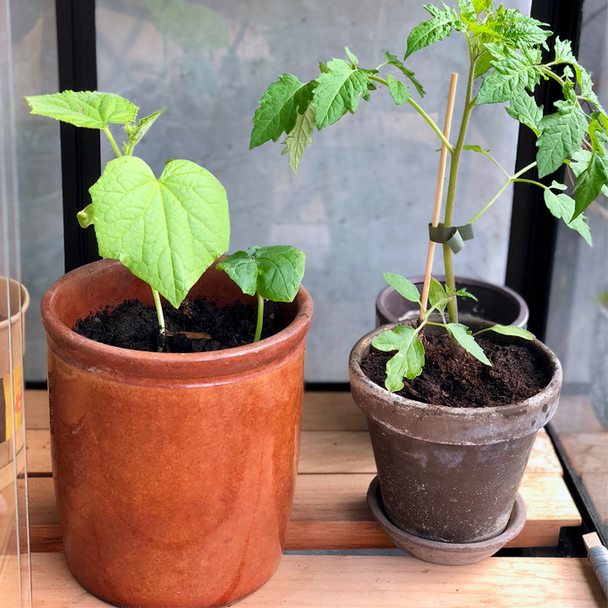 Sådan gør du altanen klar til sommer - Plantorama
