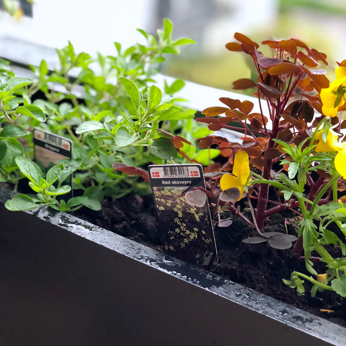 Sådan gør du altanen klar til sommer - Plantorama